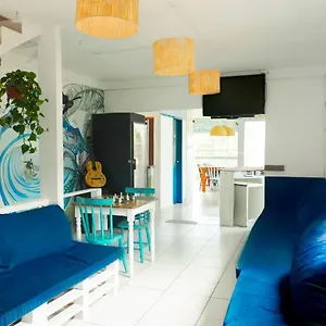 Sea Wolf Surf Florianopolis